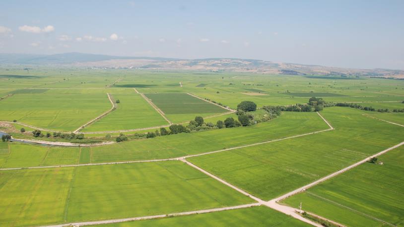 Arazi Alırken Dikkat Edilmesi Gerekenler