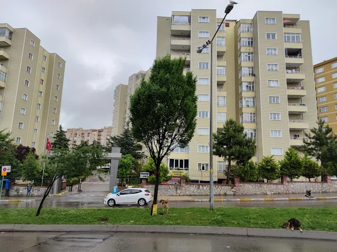 Hakiş1 Pendik Yenişehir Mh